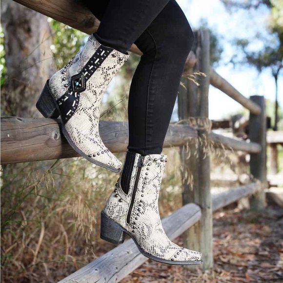 🐄 {PRICE FIRM} Double D Ranch Four Winds Boot - Picture 2 of 7